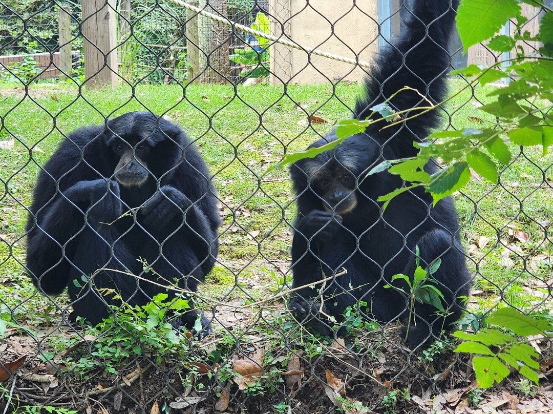 Baton Rouge Zoo-巴吞鲁日必去景点