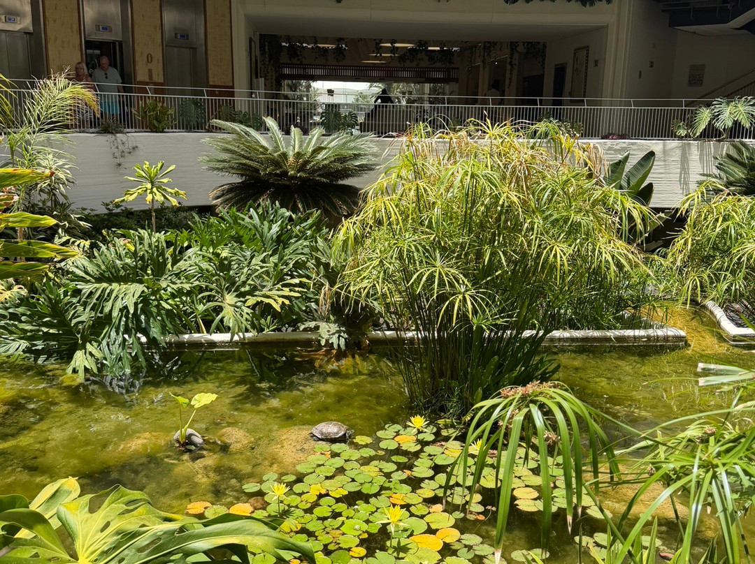 Paradisus Salinas Lanzarote –  全包 - 仅限成人主图