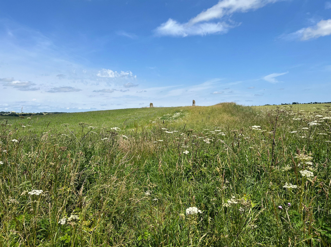 Orwell Standing Stones-Kinross必去景点
