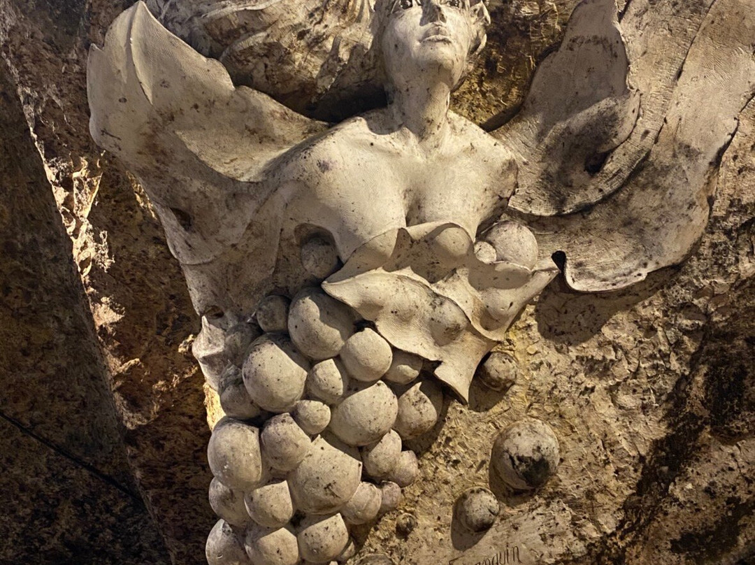 Les Caves Bailly Lapierre-欧塞尔必去景点