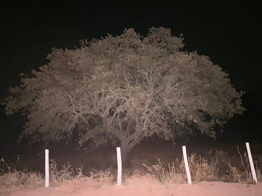 Observatorio do Lago Alqueva-蒙萨拉斯必去景点