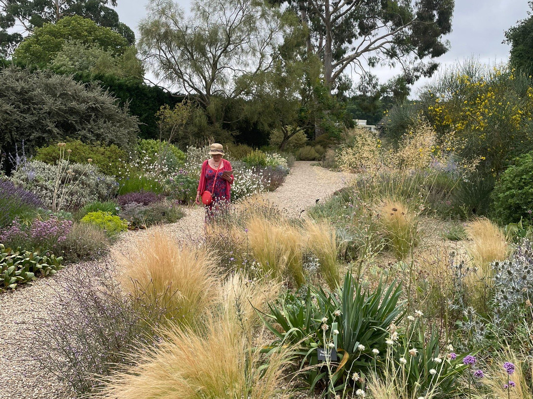 Beth Chatto's Plants & Gardens-科尔切斯特必去景点
