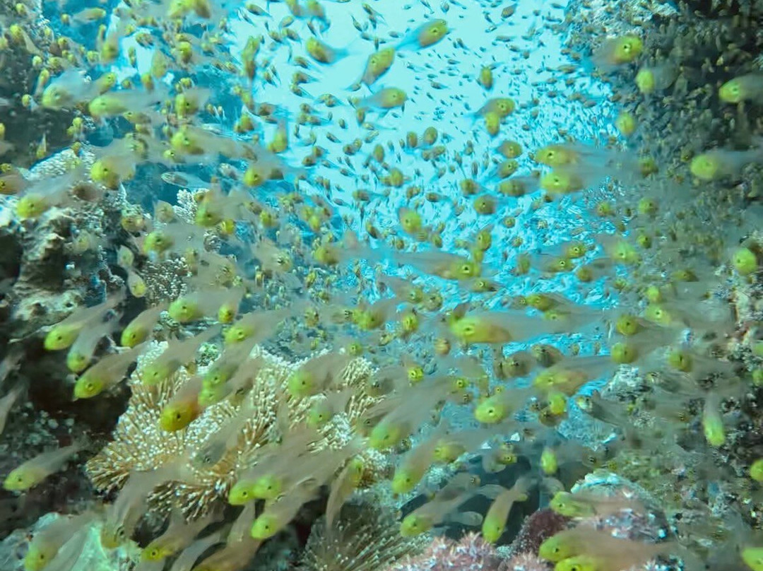 Euro-Divers Eri Maldives-马累北环礁必去景点