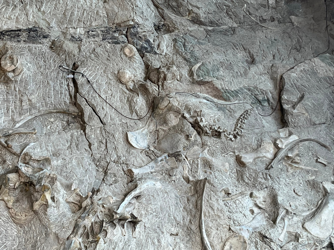 Dinosaur National Monument-Dinosaur必去景点