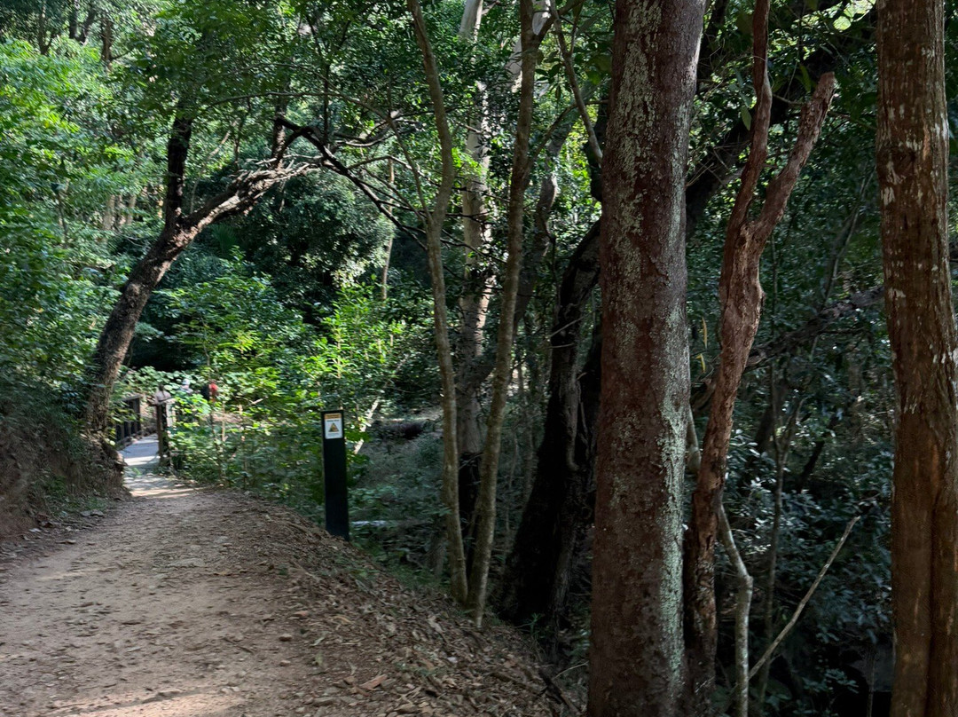 Wangetti Trail-棕榈湾必去景点