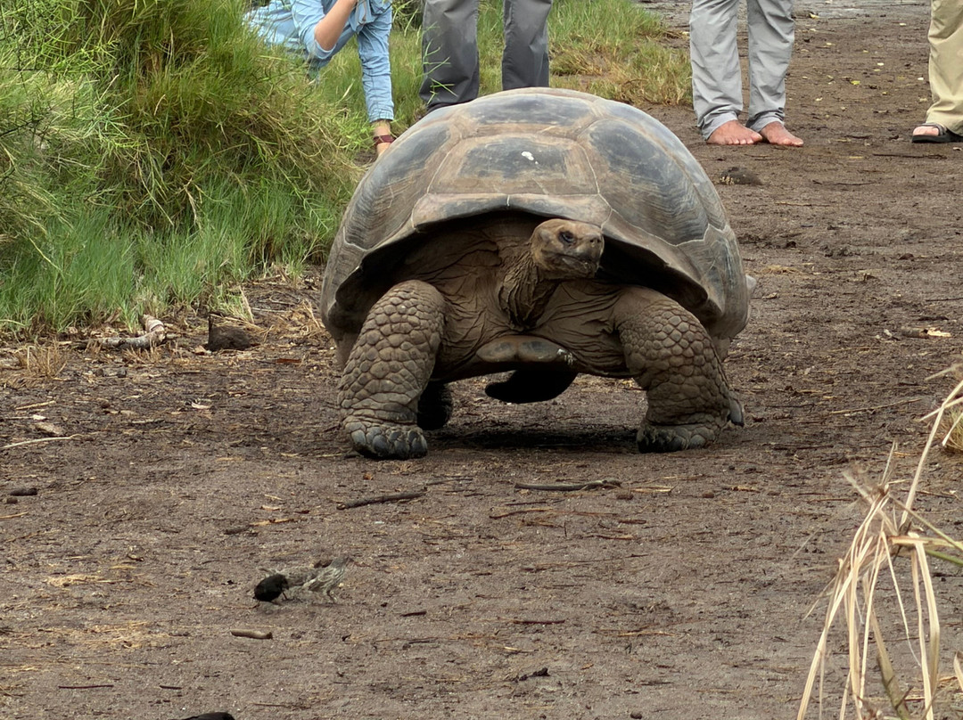Monserrat Galapagos Cruises-阿约拉港必去景点