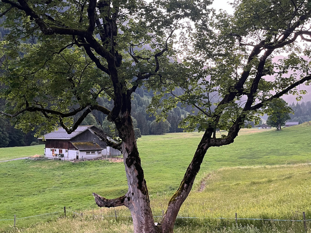 Gasthaus Richisau主图