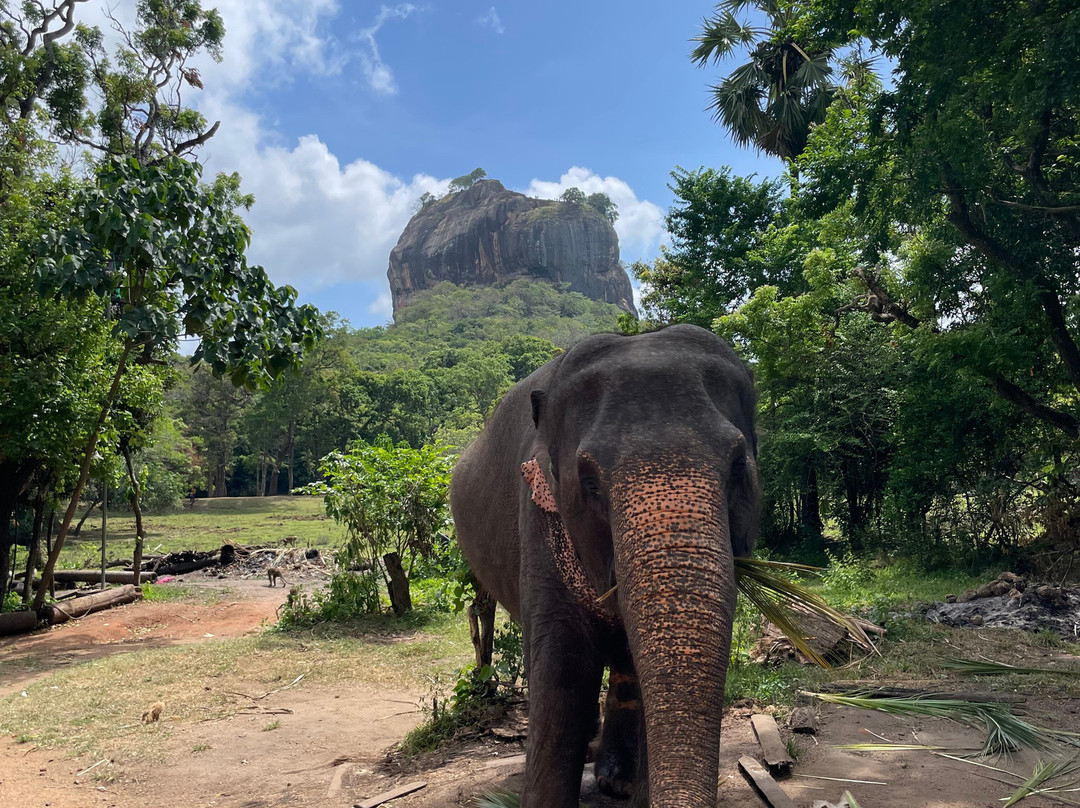 Simply Ceylon Tours-康提必去景点