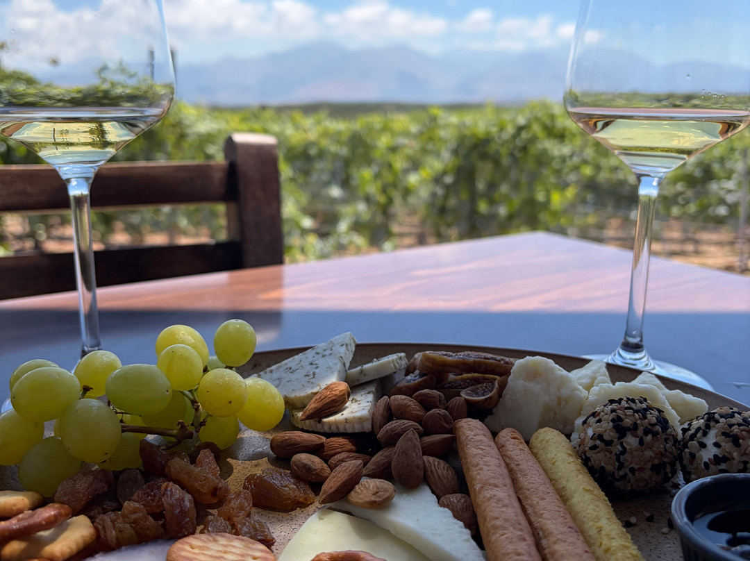 Lyrarakis Winery-伊拉克利翁必去景点