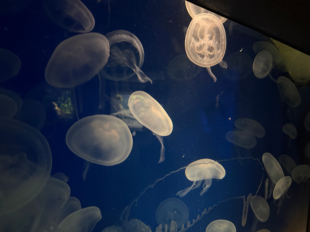 Zoo Basel-巴塞尔必去景点