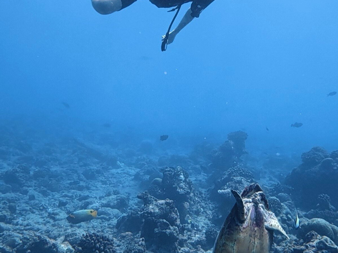 Euro-Divers Club Med Kani-卡尼翡诺岛必去景点