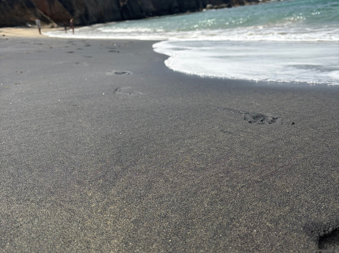 Black Sand Beach-维切克岛必去景点