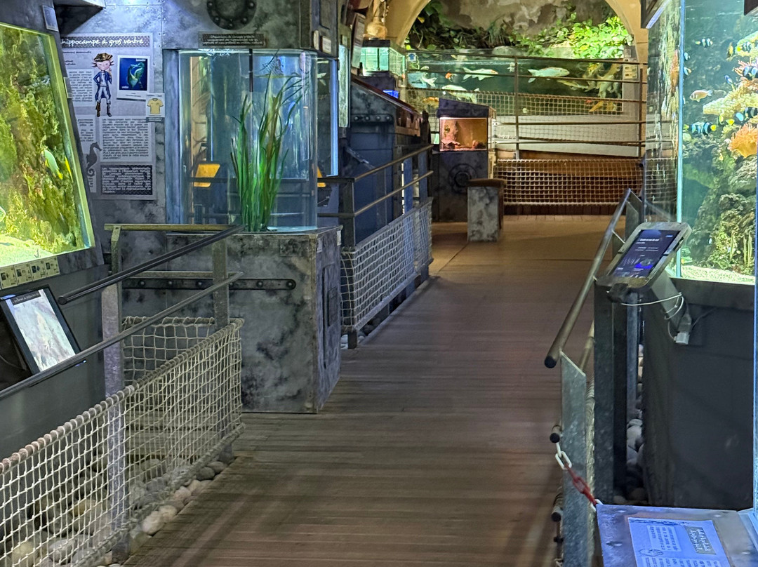 Aquarium du Limousin-利摩日必去景点
