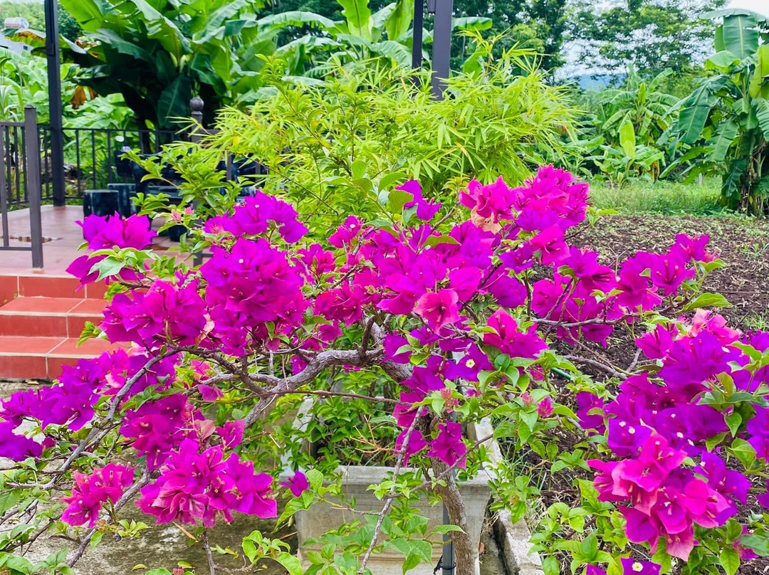 Dong Du Village Lakeside Farm Stay-Nghia Thuan必去景点