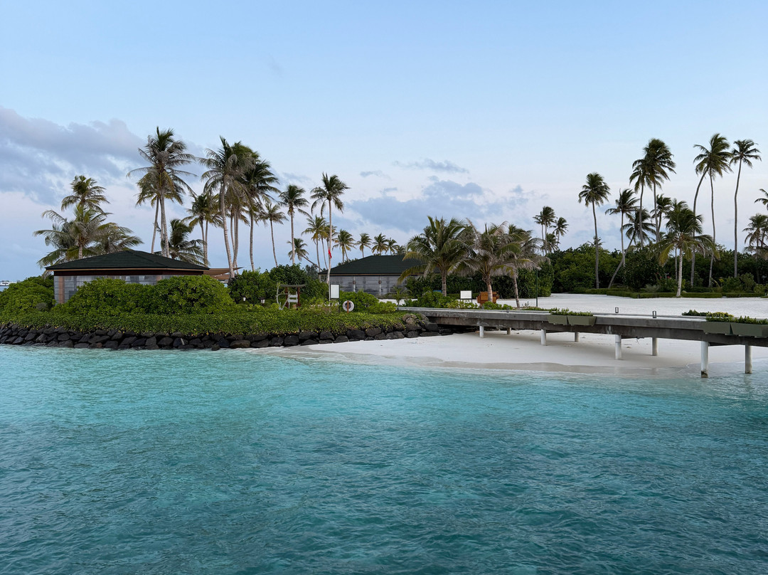 Joy Island Maldives by Cocoon Collection主图