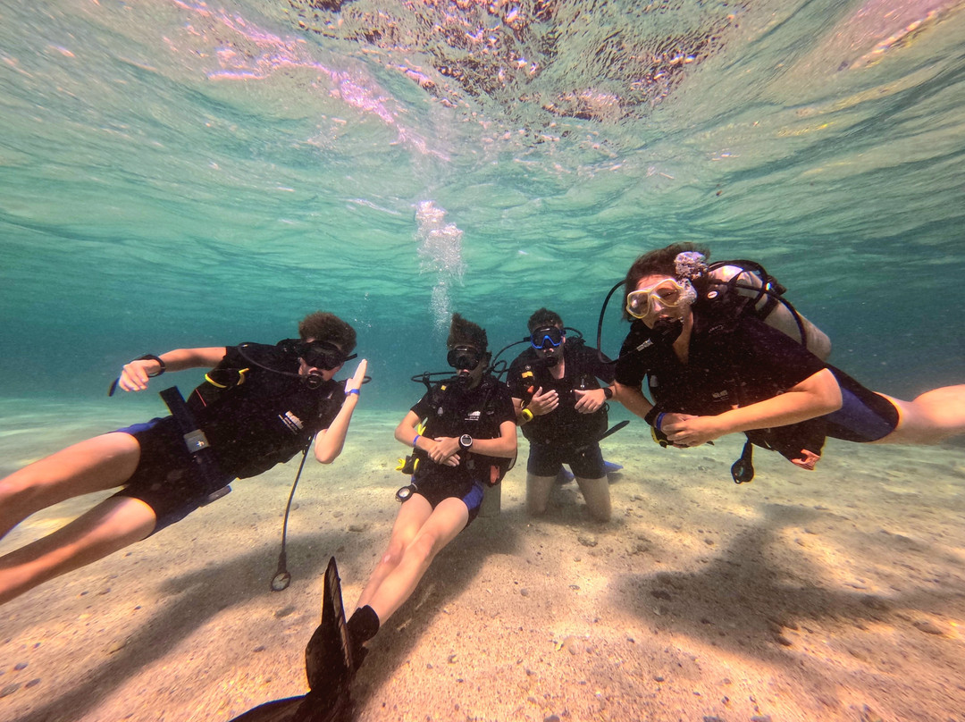Deep Ocean Blue Diving Center-艾尔可西利亚必去景点
