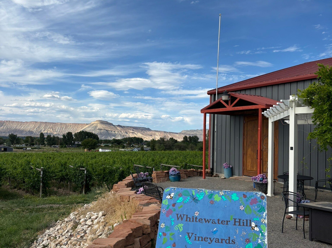 Whitewater Hill Vineyards-大章克申必去景点