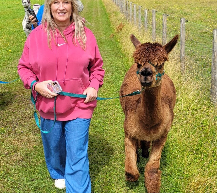 Bardsea Alpacas And Llamas-Bardsea必去景点