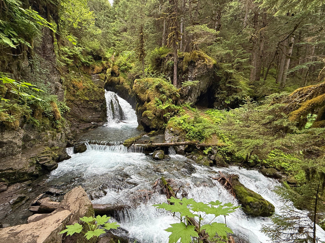 Virgin Creek Falls Trail-戈德伍德必去景点