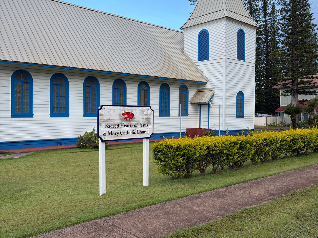 Sacred Hearts Of Jesus & Mary Catholic Church-拉奈市必去景点