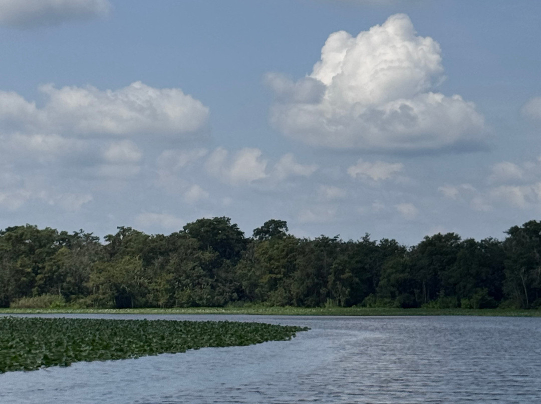 St. John's River Eco Tours, LLC-DeBary必去景点