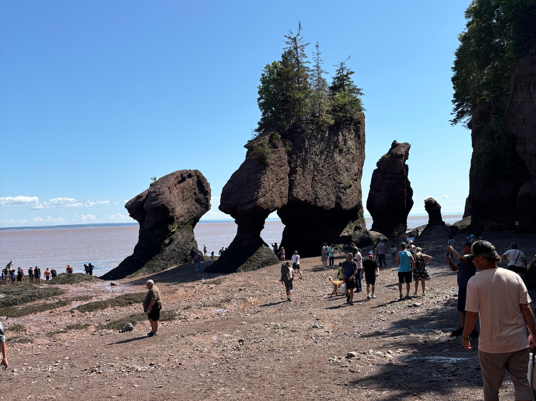 Hopewell Rocks-霍伯威尔角必去景点
