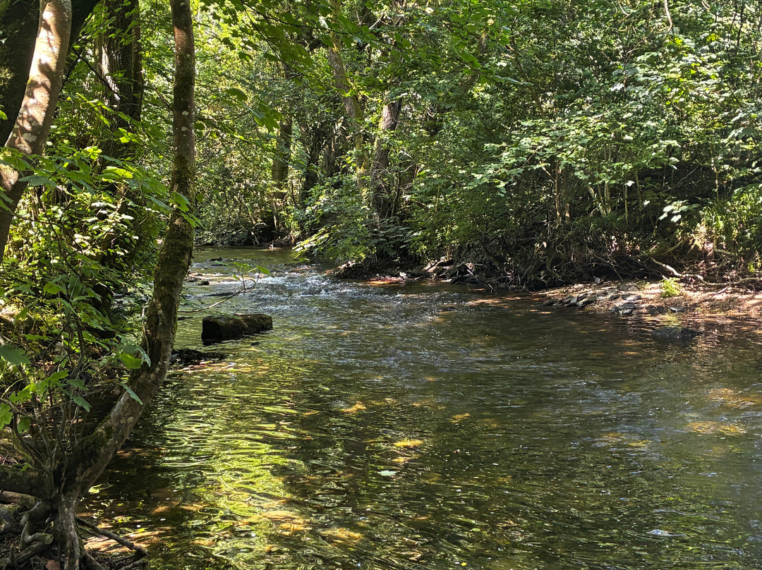 Rilla Mill and Plushabridge circular walk-Upton Cross必去景点