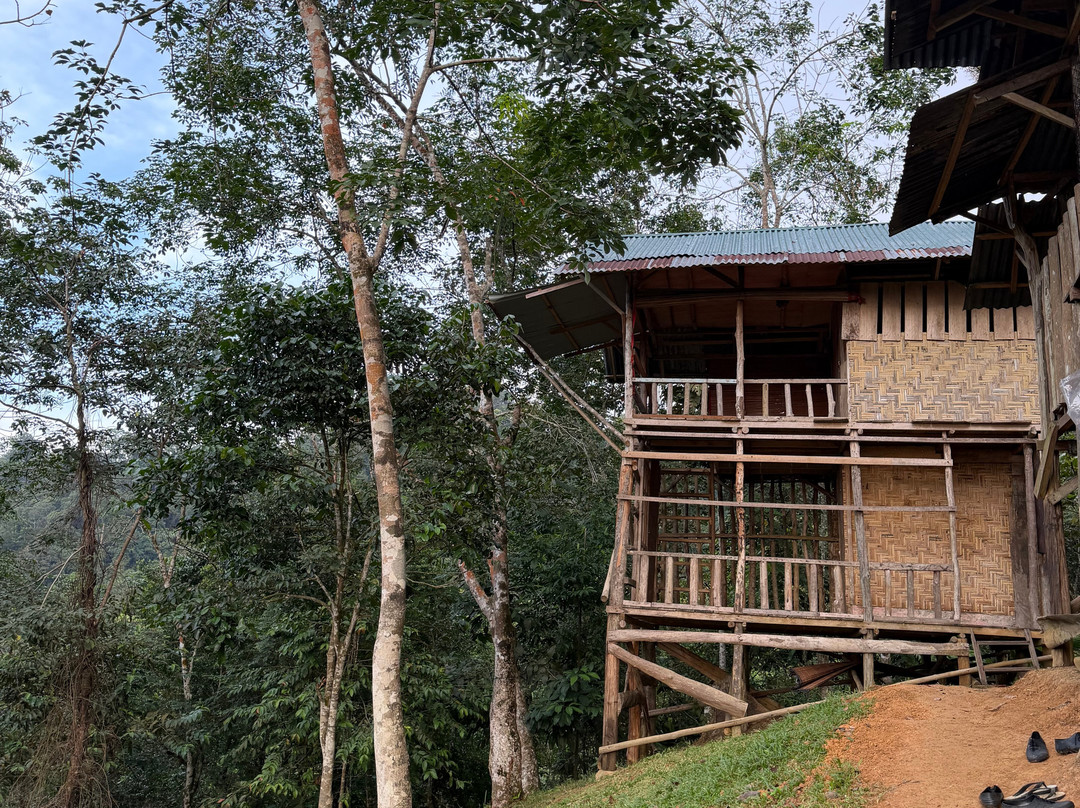 Bukit Lawang - Jungle Trekking Sumatra-武吉拉旺必去景点