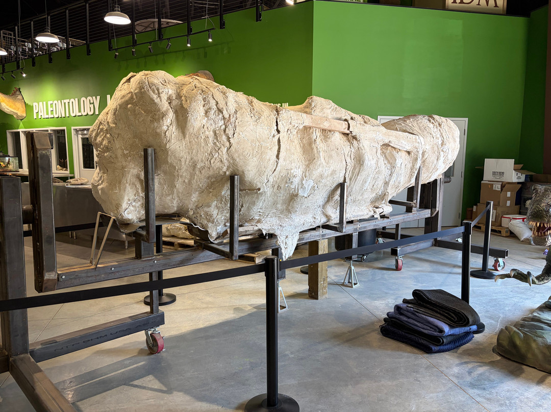 Indiana Dinosaur Museum-南本德必去景点