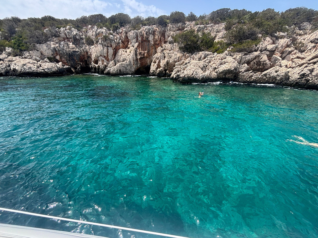 Escursioni Alghero Asinara-阿尔盖罗必去景点