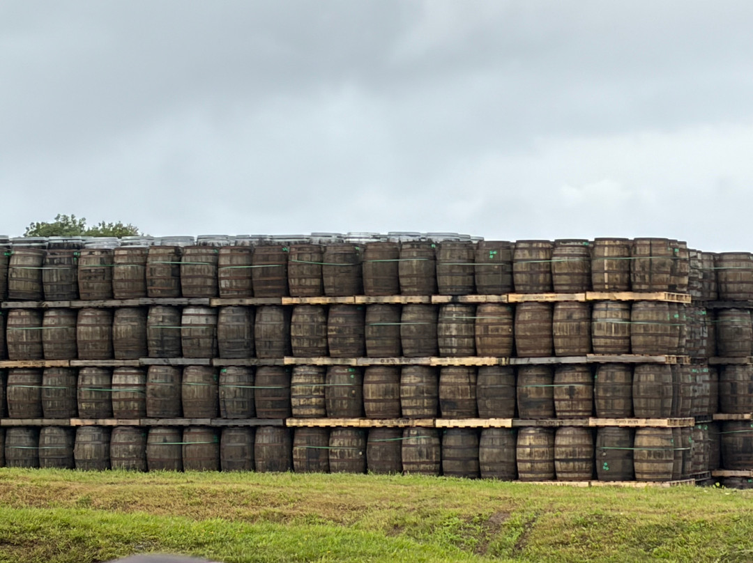 Bushmills Distillery-布什米尔斯必去景点