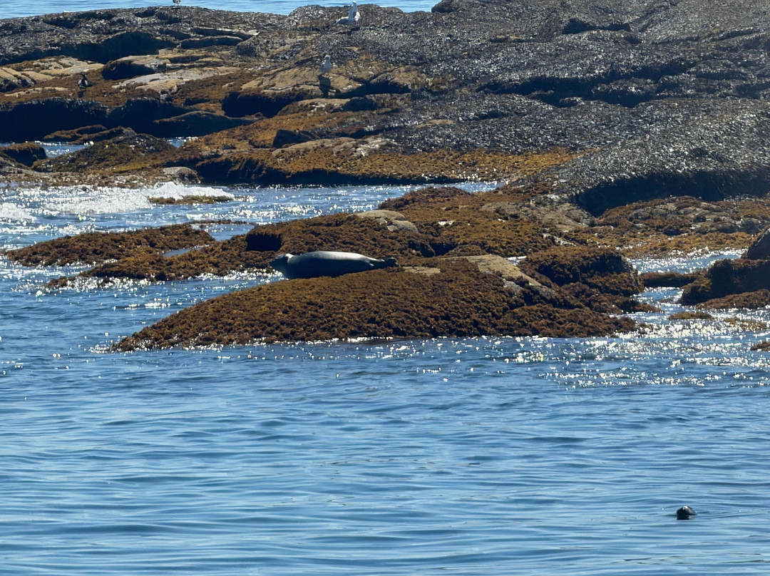 Monhegan Boat Line-Port Clyde必去景点