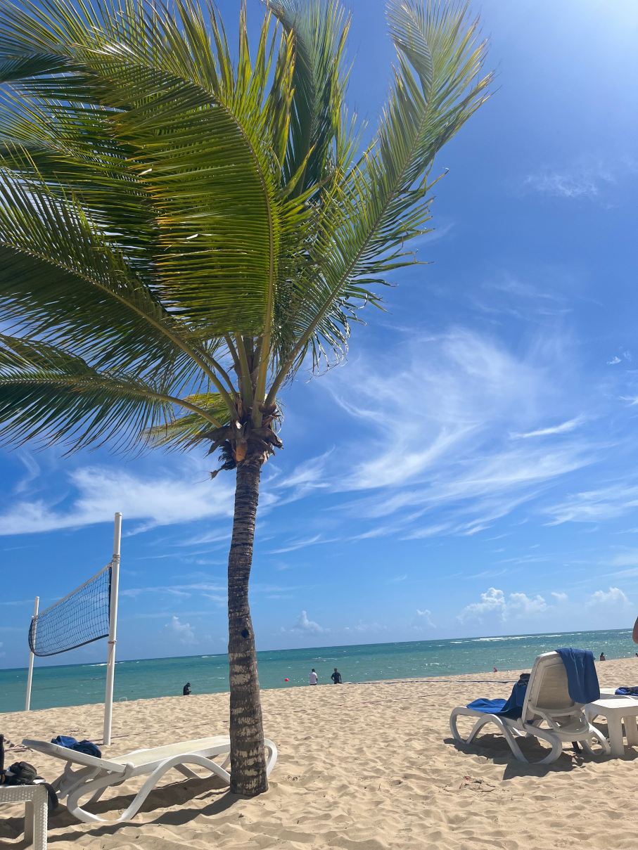 韦瓦天堂全包度假村，温德姆Trademark精选-旅行者