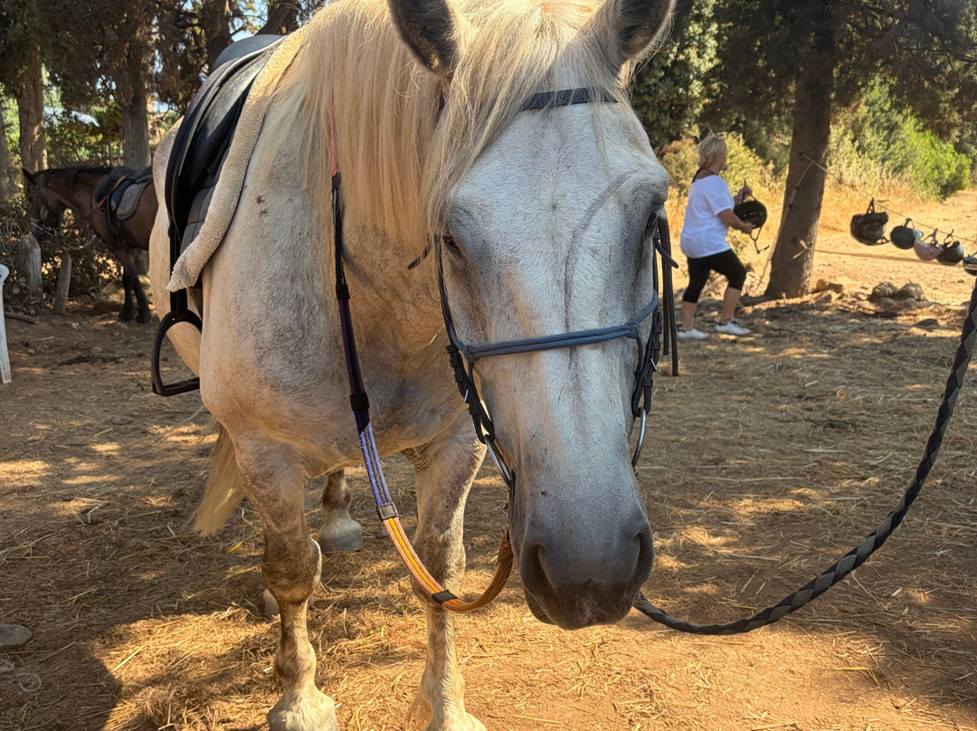 Aux Poneys d Eden-Canale-di-Verde必去景点