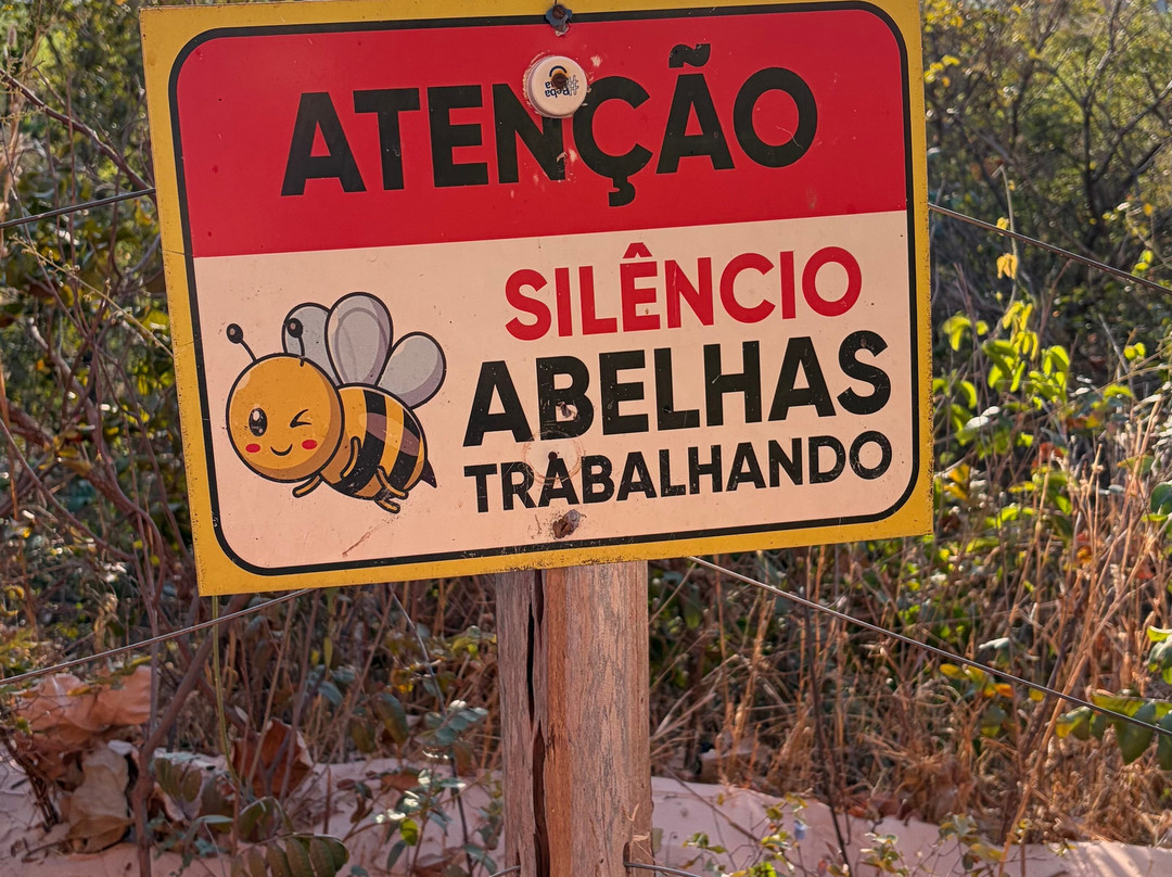 Pedra Furada Jalapão-Ponte Alta do Tocantins必去景点