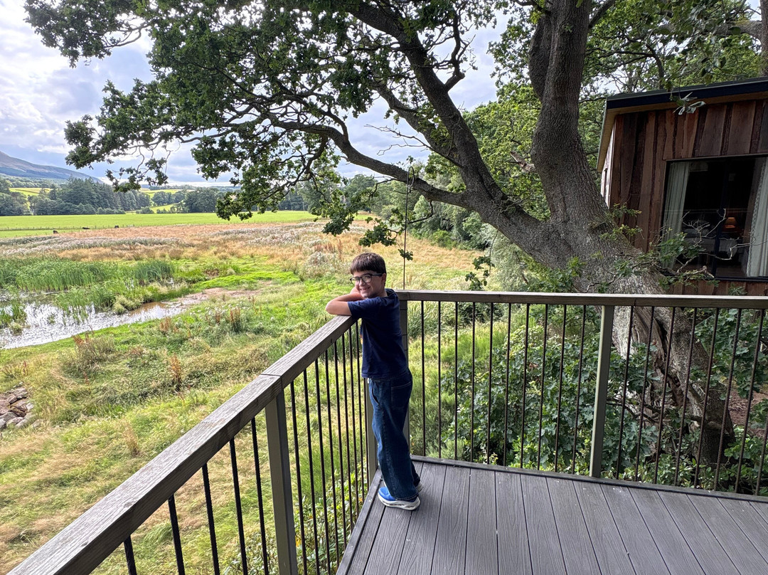 The Treehouses at Leckie主图