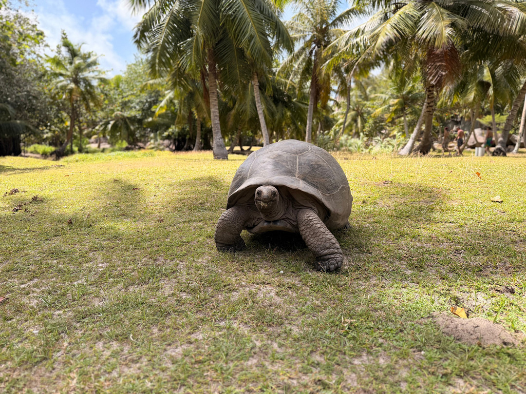 Zico Boat Excursions La Digue-La Passe必去景点