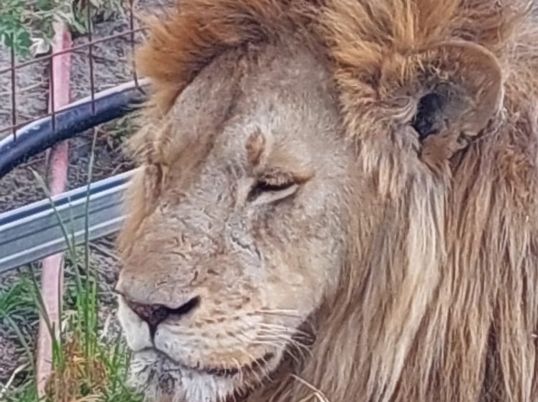 Sereland Africa Safaris-Sakina必去景点