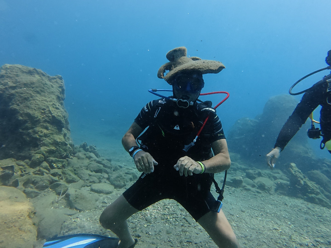 Dolphin Diving Center-雷斯蒙必去景点