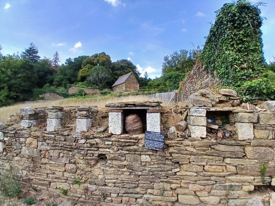 Site Abbatial de Saint-Maurice-Clohars-Carnoet必去景点