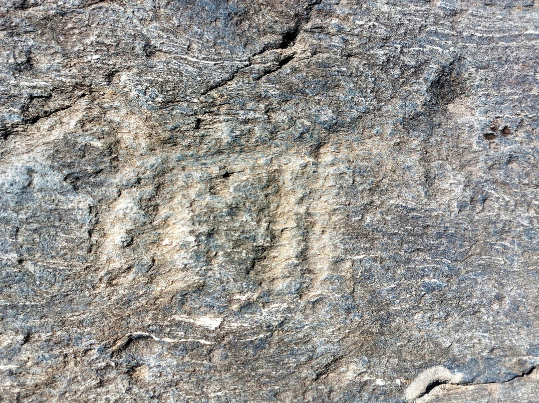 Parco Delle Incisioni Rupestri di Grosio e Grosotto-Grosio必去景点