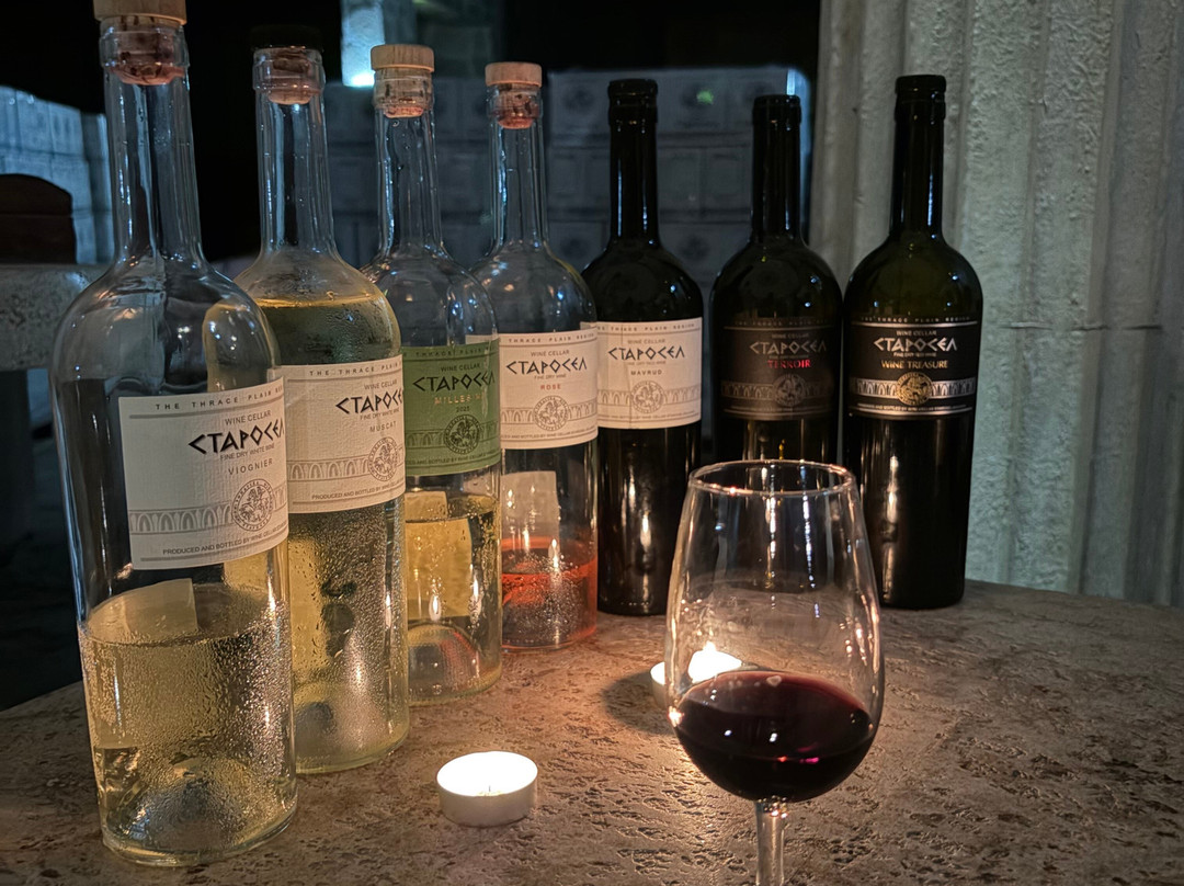 斯塔罗塞尔红酒水疗综合酒店主图
