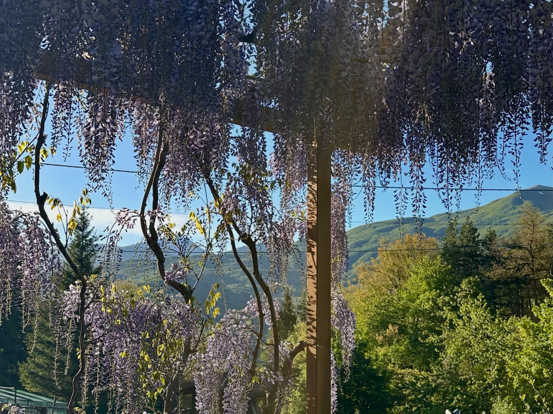 I Giardini dell'Acqua-Collagna必去景点