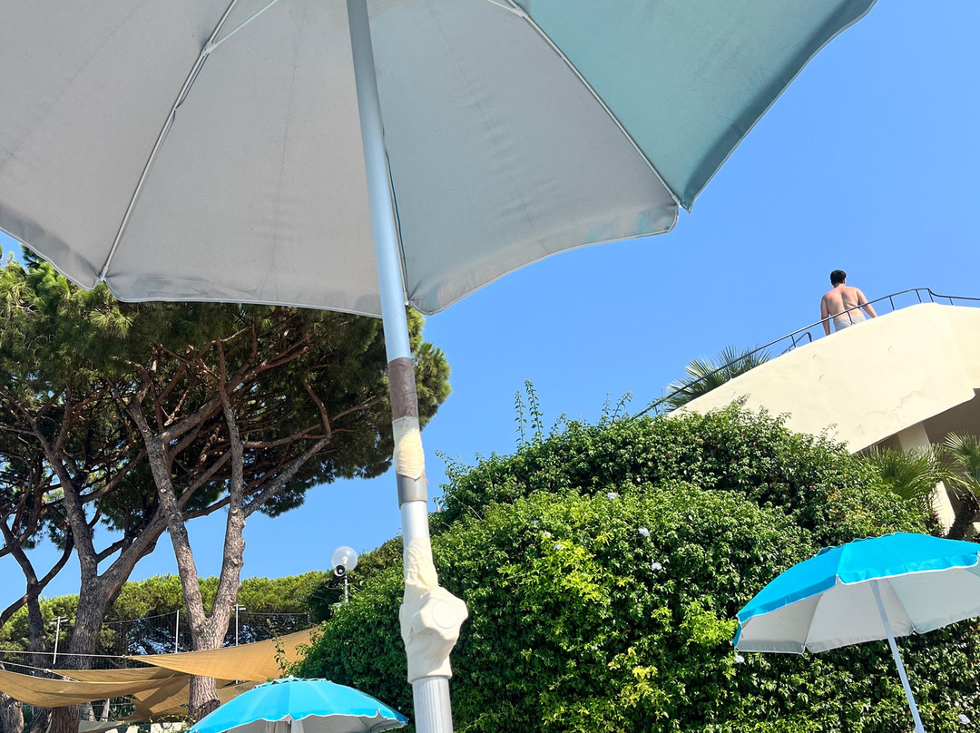 Park Hotel Terme Michelangelo主图