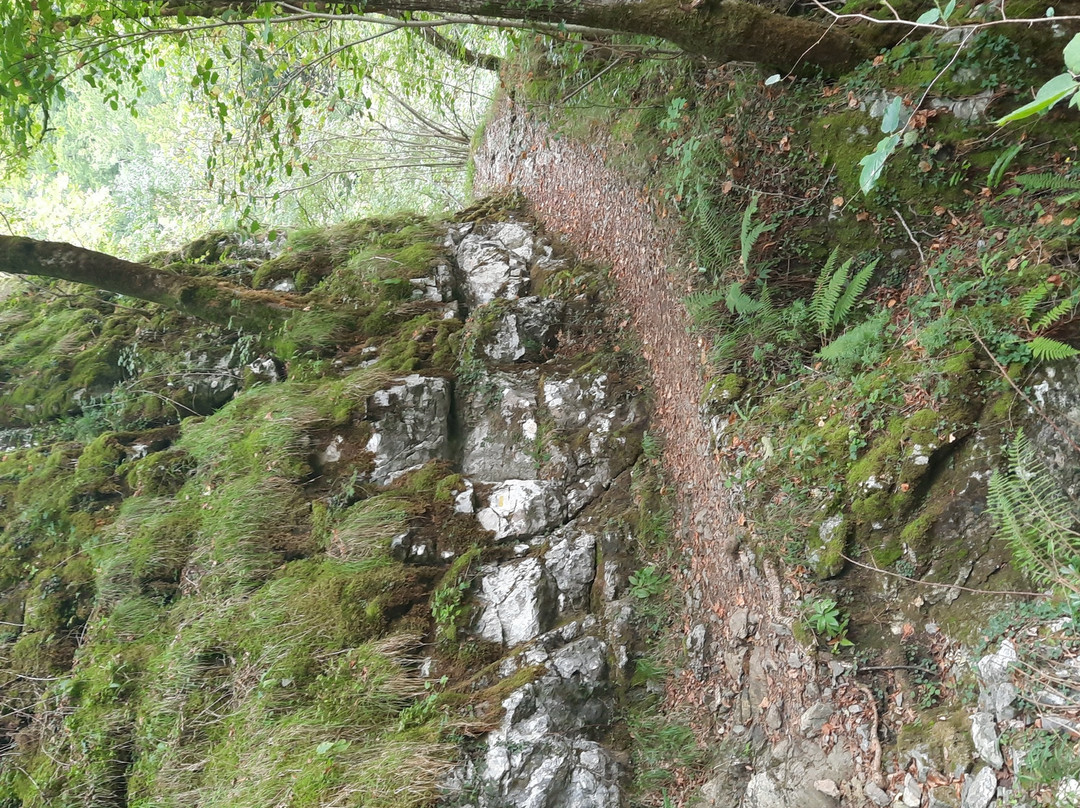 Source de la Bidouze-Saint-Just-Ibarre必去景点