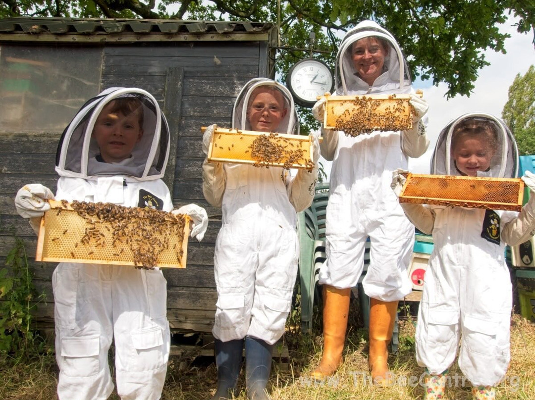 The Bee Centre-乔利必去景点
