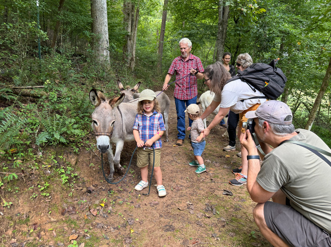Happy Hooves Treks