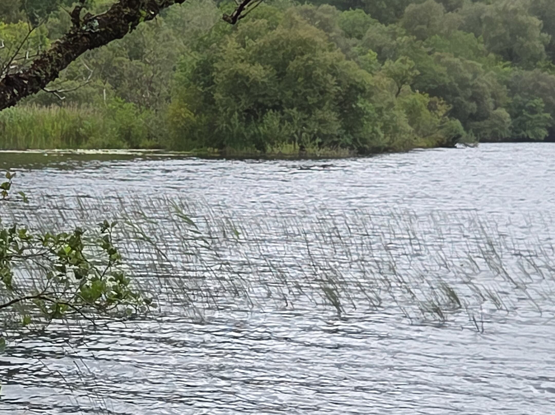 Argyll Beaver Centre-Lochgilphead必去景点