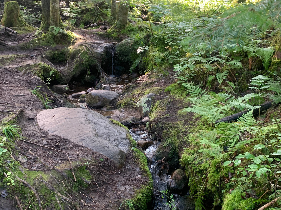 Parc national de la Jacques-Cartier-Stoneham-et-Tewkesbury必去景点