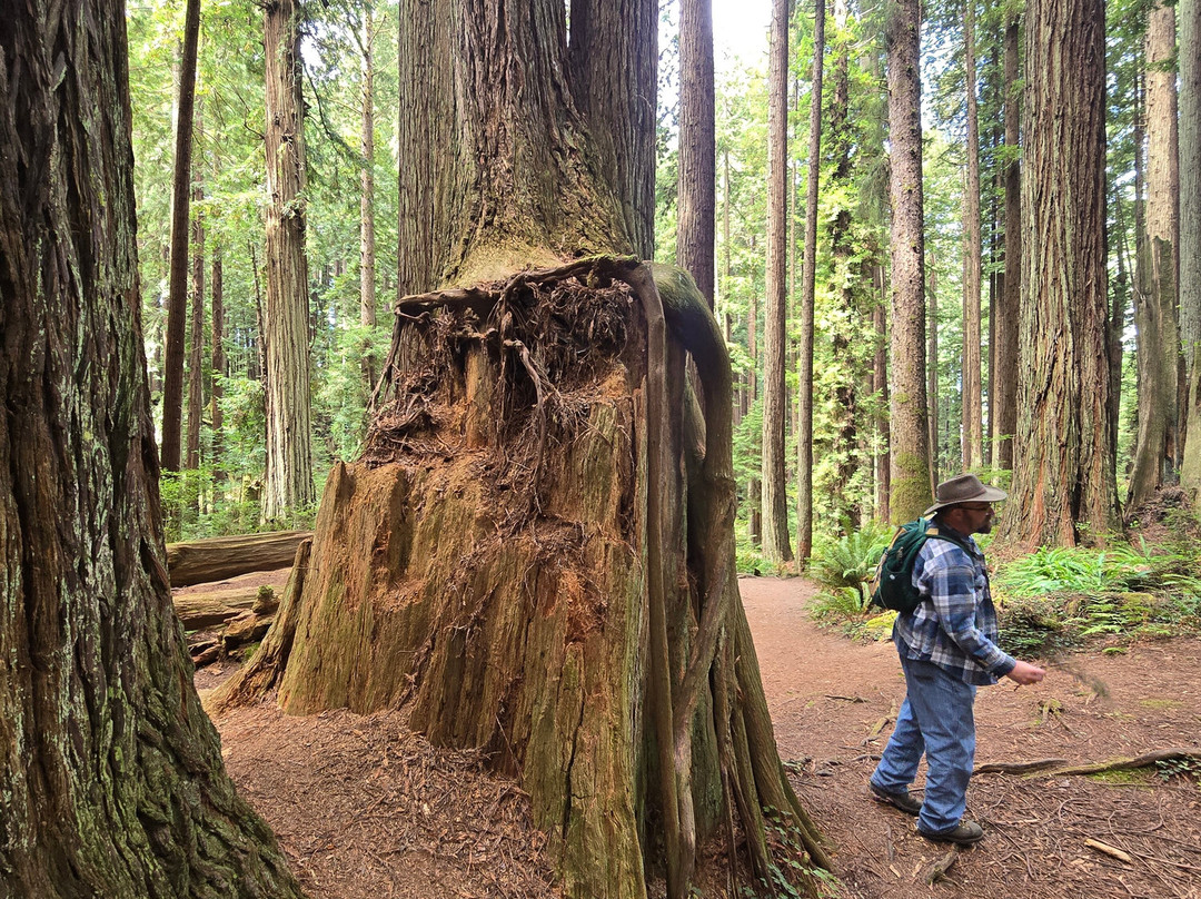 Wildtrail Tours-Arcata必去景点